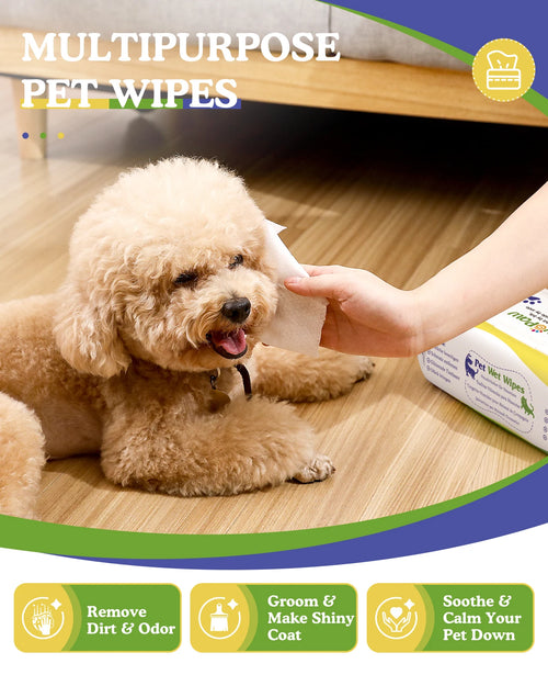 Daily Pet Refresh Wipes
