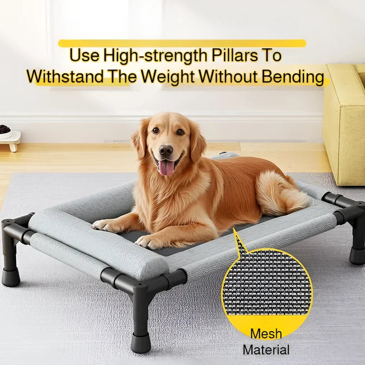 Elevated Comfort Bed