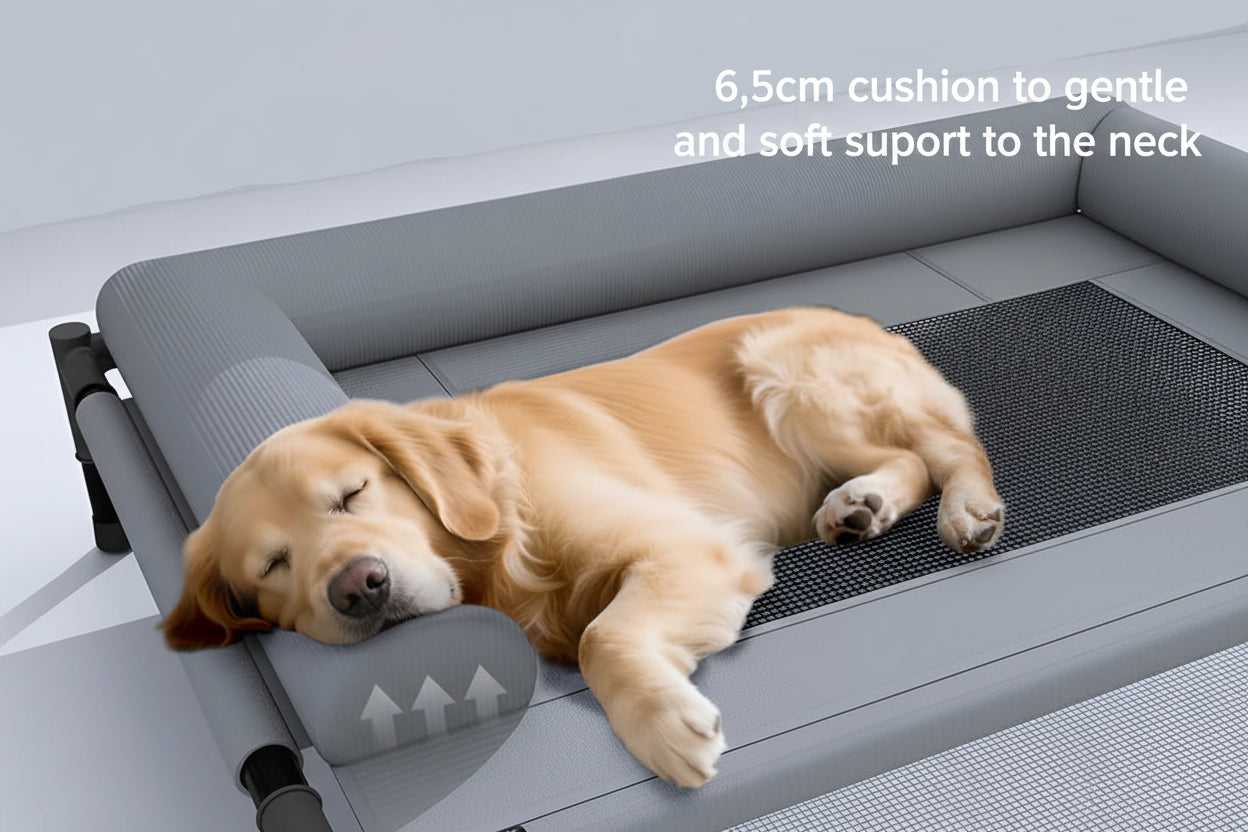 Elevated Comfort Bed