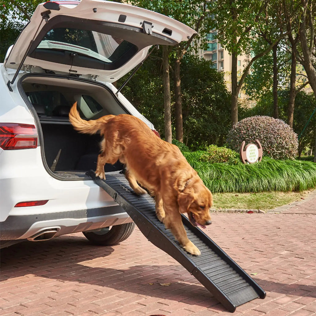 Foldable Pet Car Ramp for Senior & Mobility-Challenged Dogs